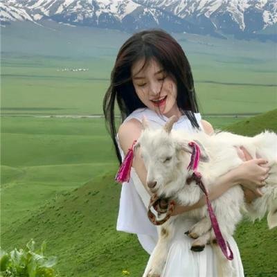 椰子英雄